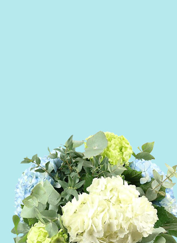 Same day Flowers Archway